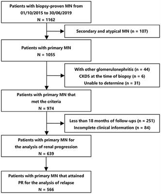 Microhematuria Enhances the Risks of Relapse and Renal Progression in Primary Membranous Nephropathy